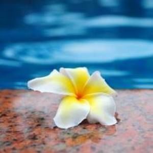 Meet your Posher, Anne